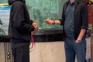 趙睿和李春江聊天真的非常開心...